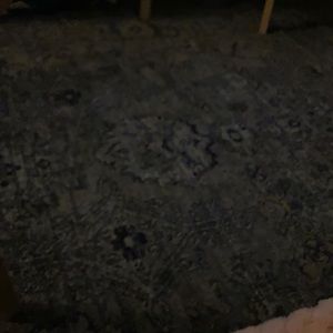 Meet your Posher, Charlee